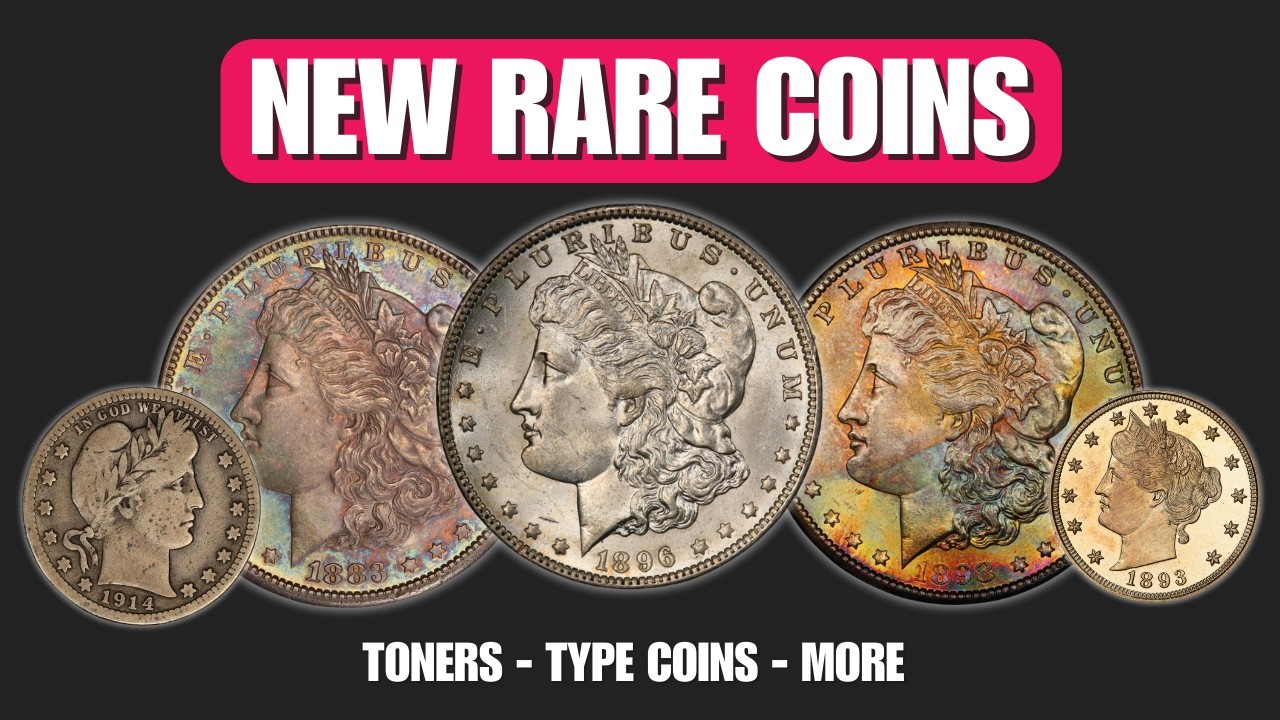 NEW Rare Coins - Collector Coin New Pickups - Toners, Morgan Dollars, Type Coins
