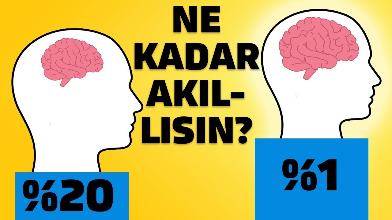 AKIL PUANINIZ KAÇ? | Aklınız Çalışıyor mu?