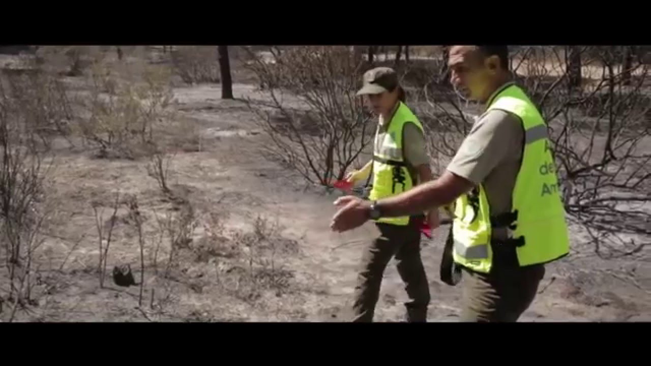 Descubre el trabajo de las BIIF (Brigadas de Investigación de Incendios Forestales) en Andalucía