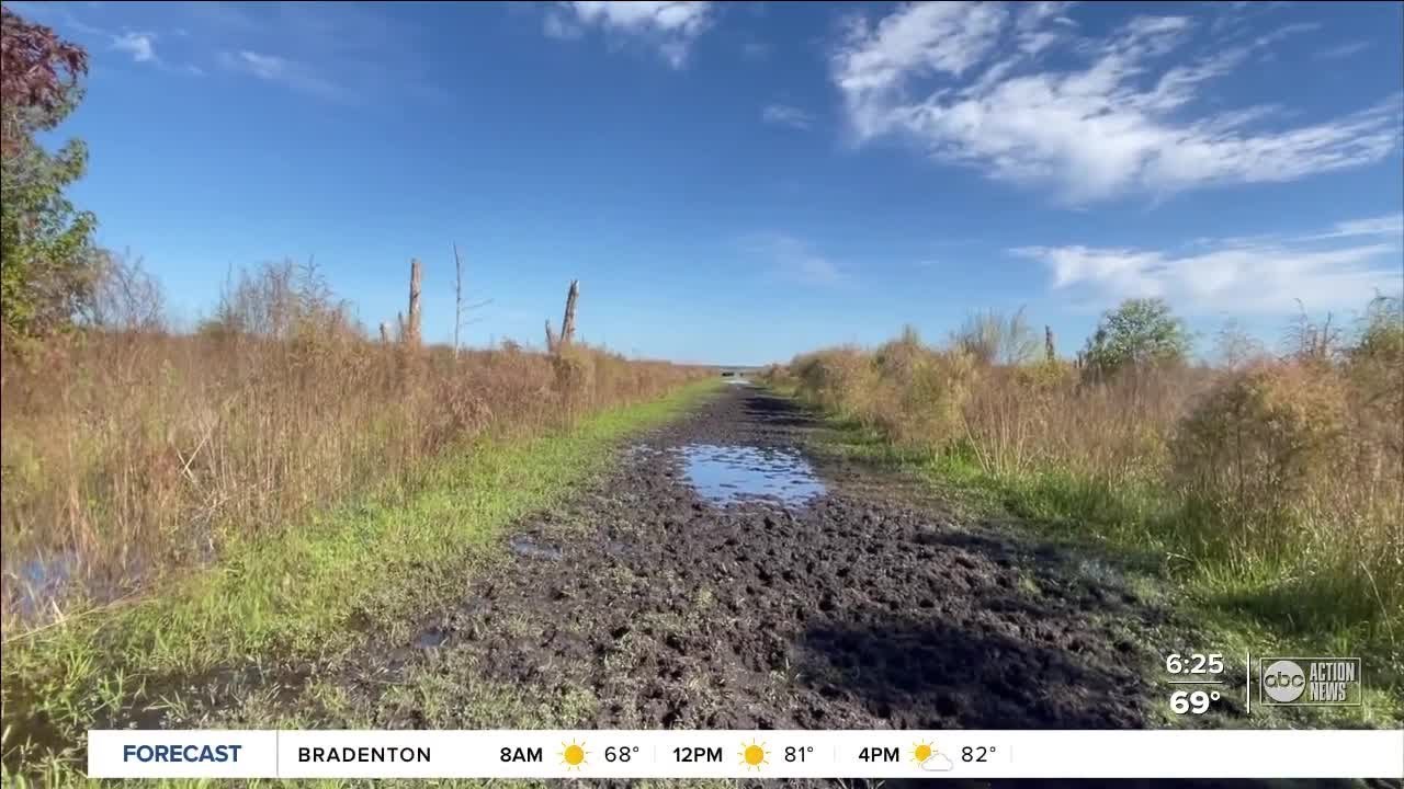 Sarah's Walking Club: Exploring Paynes Prairie Preserve State Park