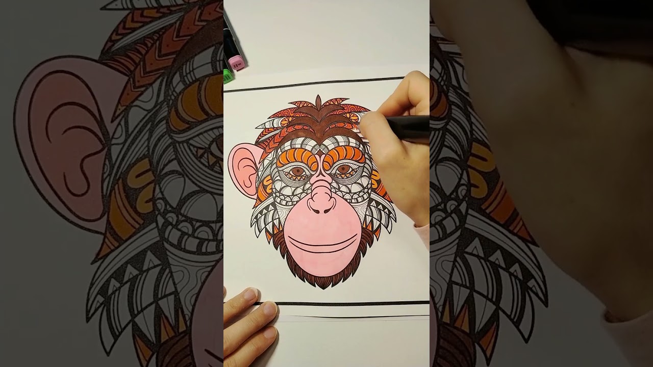 Carti de colorat pentru adulţi şi copii #coloringbook #coloring #coloringbookforadults