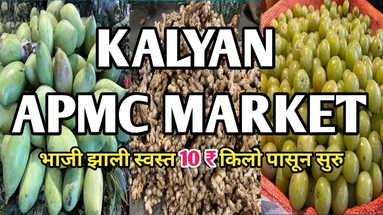 मुंबई का सबसे सस्ता होलसेल भाजी मार्केट | KALYAN APMC MARKET | Kalyan Bhaji Market | APMC MARKET 