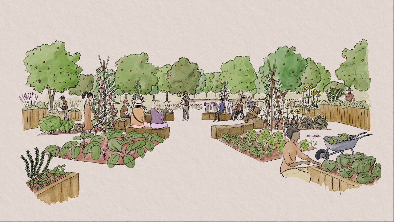 Reinventing Borde Hill - Community Growing Garden