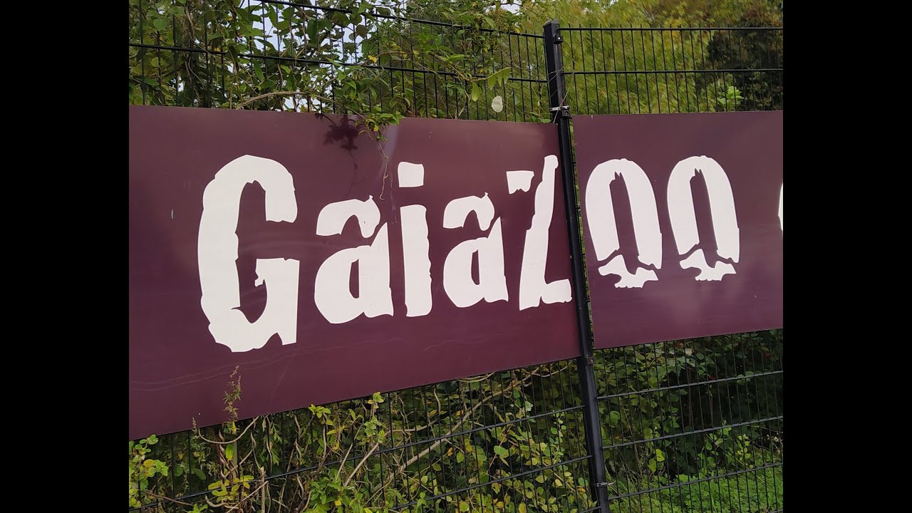 Uitstapje GAIA ZOO Bergenhuizendag 2024  - Noorbeek