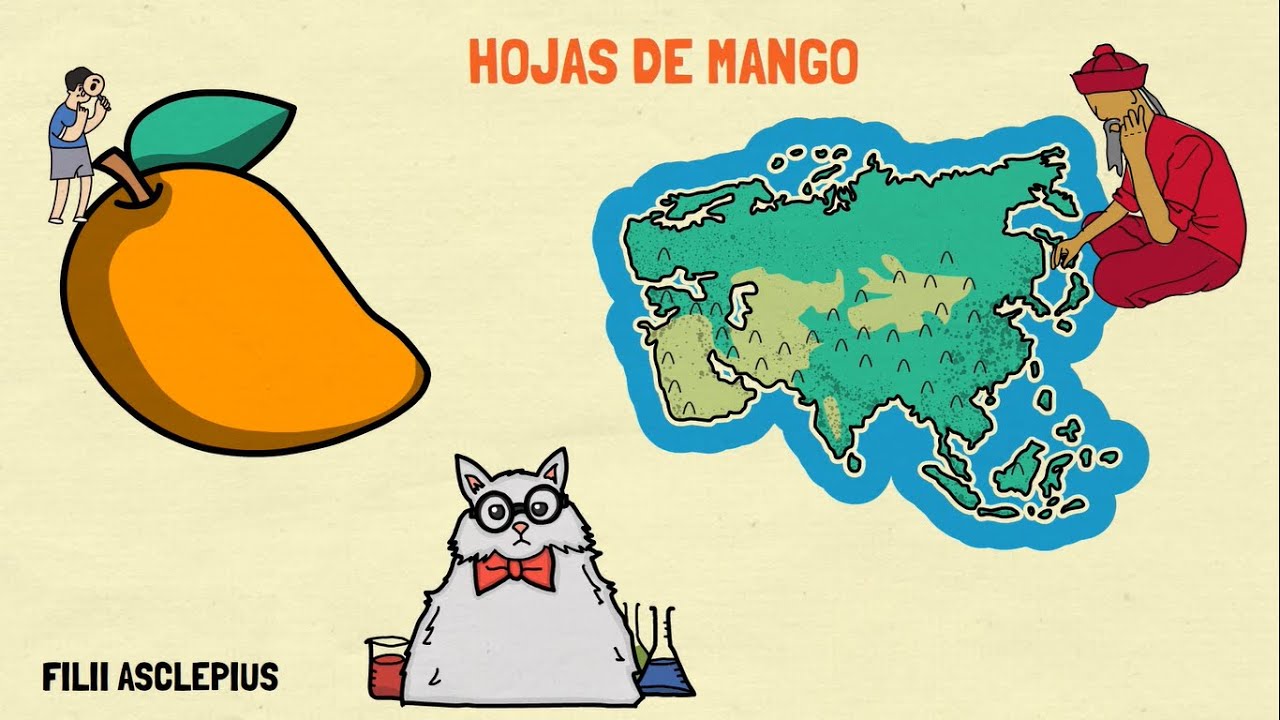 HOJAS DE MANGO | BENEFICIOS A LA SALUD
