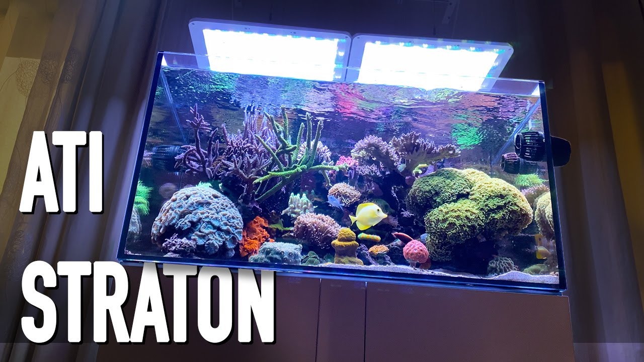 ATI STRATON - Unsere LED für das Meerwasseraquarium I ATI AQUARISTIK