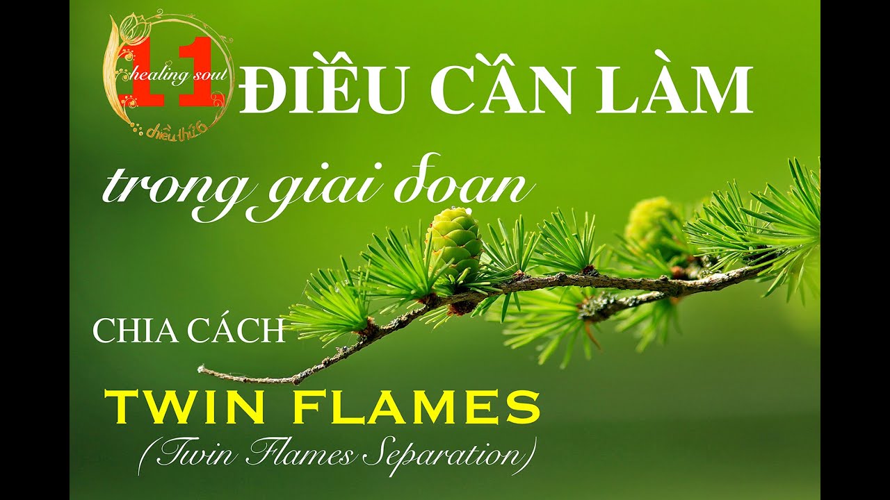 11 ĐIỀU CẦN LÀM TRONG GIAI ĐOẠN CHIA CÁCH TWIN FLAMES || GIAI ĐOẠN 6 || CHIỀU THỨ 6