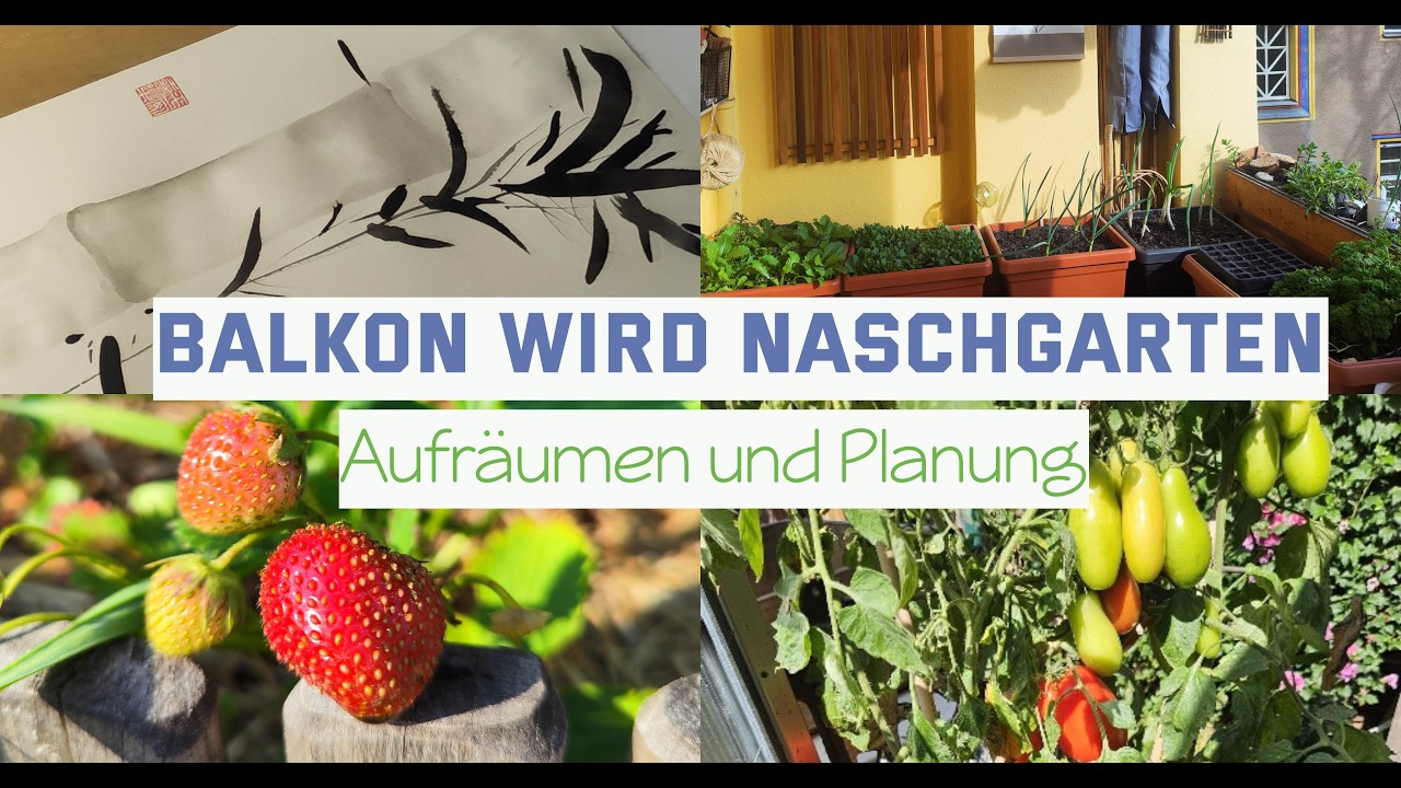 Welches Gemüse auf dem Balkon? Startklar für den Naschbalkon / Makeover / Vorher - Nachher / DIY