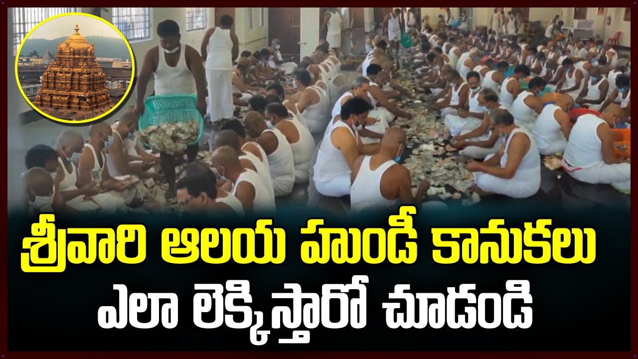 Tirumala srivari temple hundi collections counting | TIrumala | Samayam Telugu
