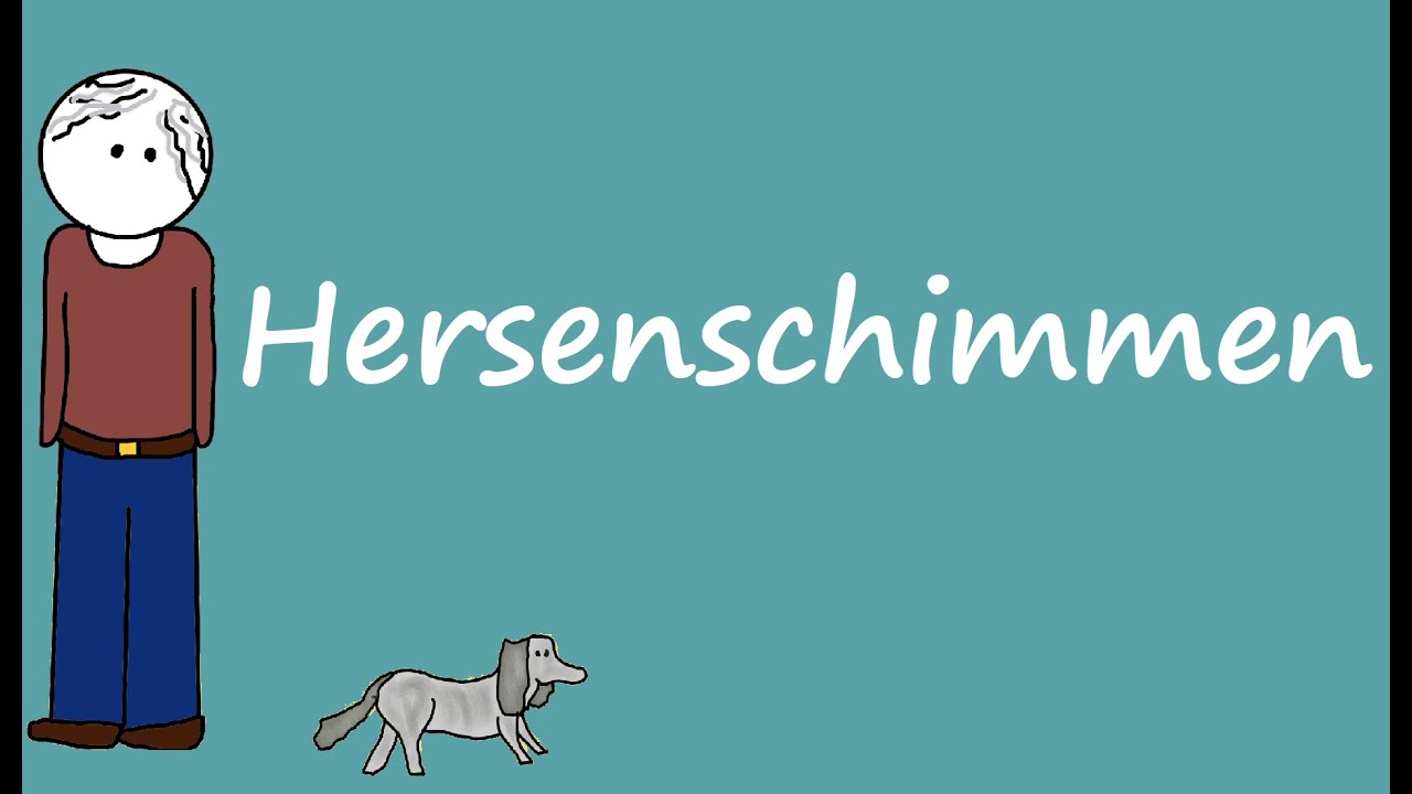 Samenvatting Hersenschimmen (De Alphaman)