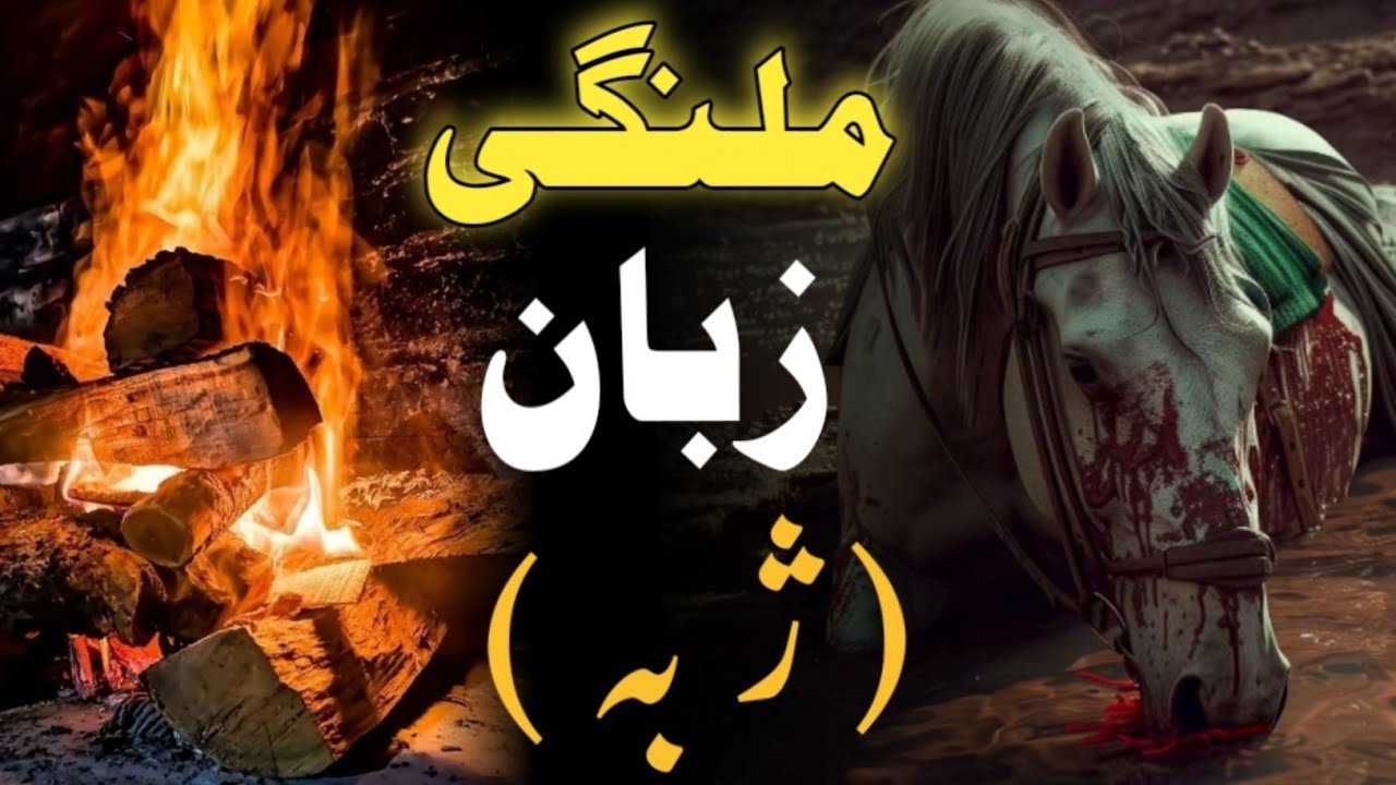 Pashto matam 2024 | new jama matam | Pashto Nohay 2024 #pashtonohy #parachinarjama #hangumatam