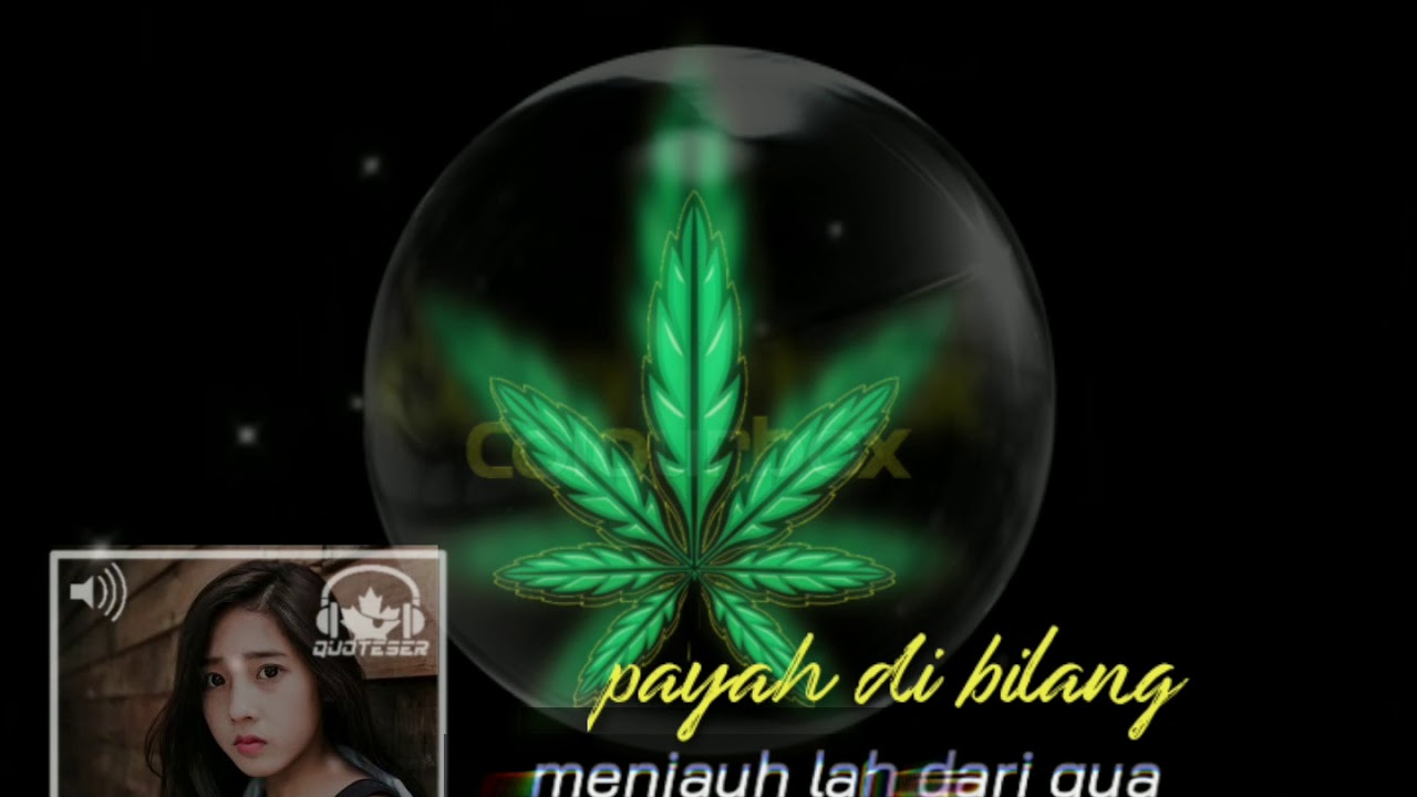 Story WA marijuana 2020#ngefly
