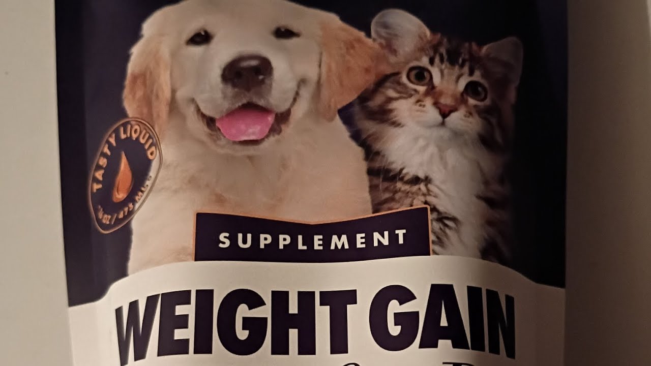 Miracle vet weight gain supplement product@miraclevet1884#subscribe#like#promote#share#viralvideo 