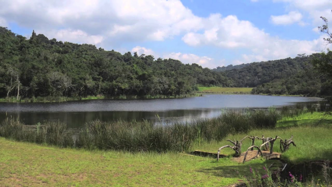 Mufindi Highlands