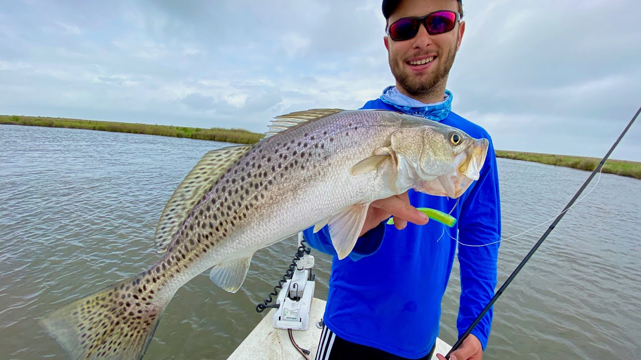 Carolina-rigging soft-plastics for PLENTY speckled trout!