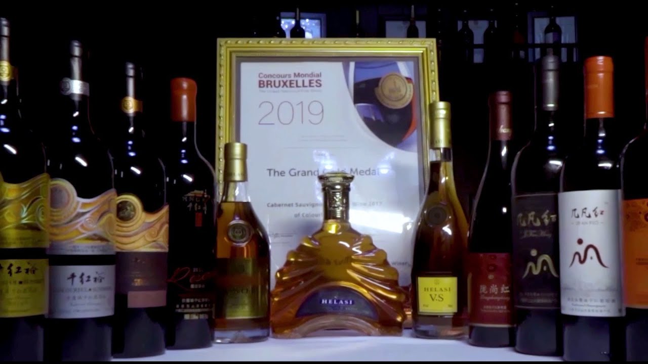 GLOBALink| Int'l wine culture, tourism expo kicks off in China's Ningxia