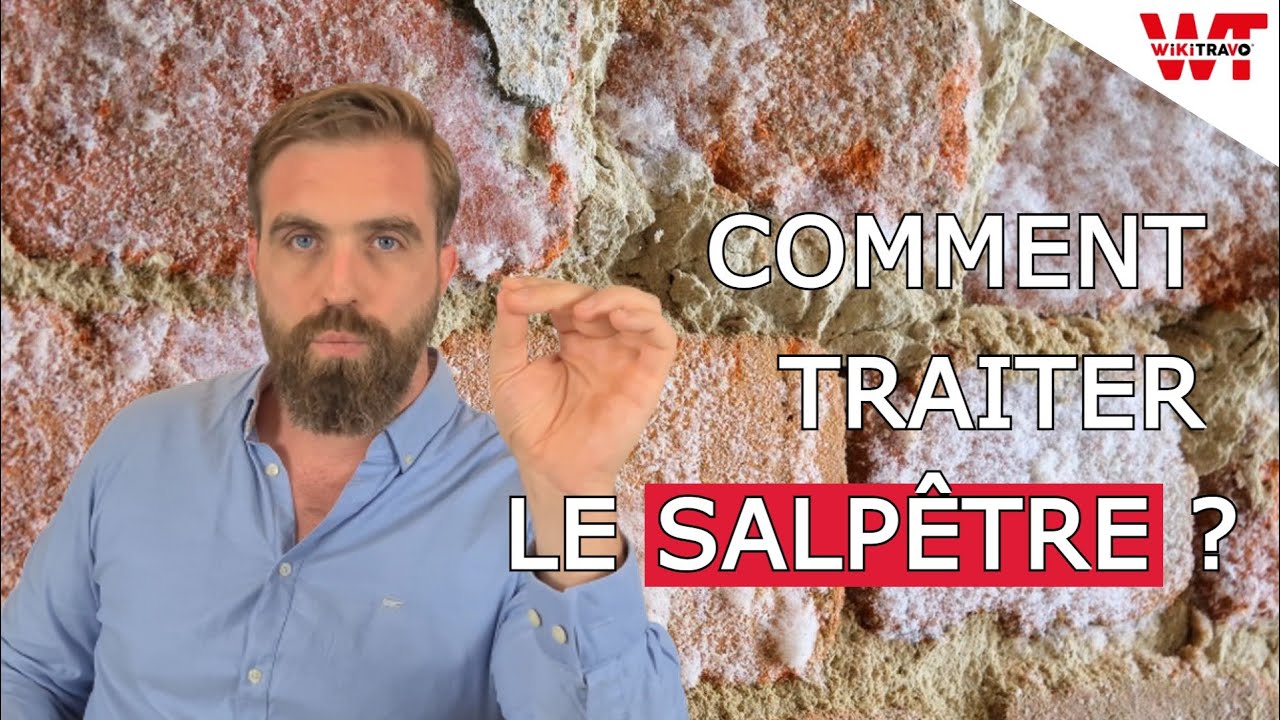 COMMENT TRAITER LE SALPETRE ?