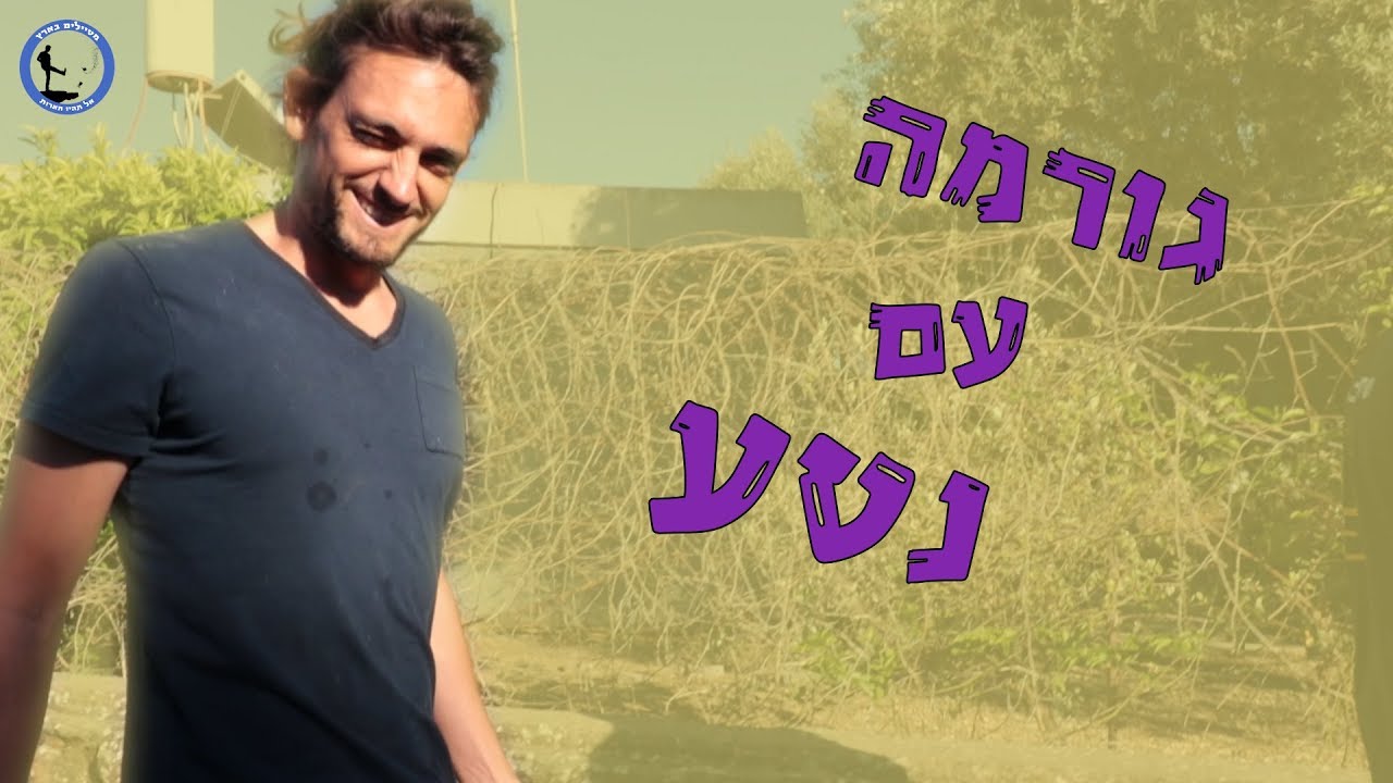 איך מכינים חרדל מהטבע - גורמה עם נטע