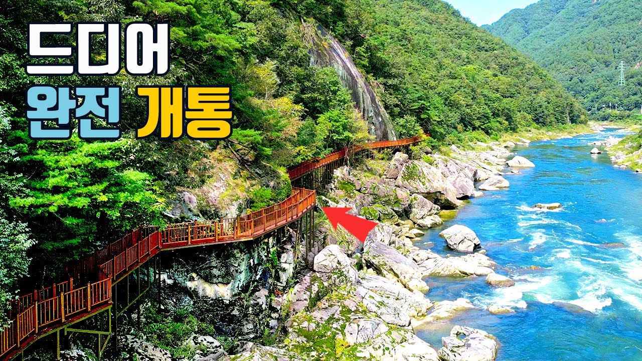 56억 들인 ‘사계절 수변 트레킹 코스’ 전면 개방🏝️ 드디어 연결된 130미터 인도교까지, 6.5Km 트레킹 명소 등극 💕 당일치기 여행🚌