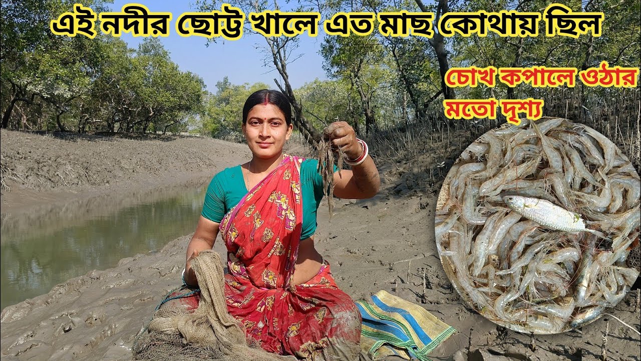 সুন্দরবনের নদীর ছোট্ট খালে প্রচুর চিংড়ি মাছ ধরলাম! এত মাছ কোথায় ছিল ll Nandita Sundarban life 