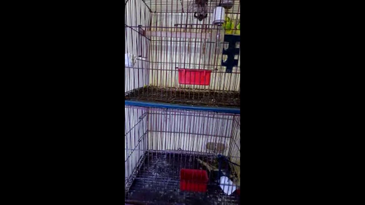 I'm so sorry my dear sister's and brother's 😭 😔 😢