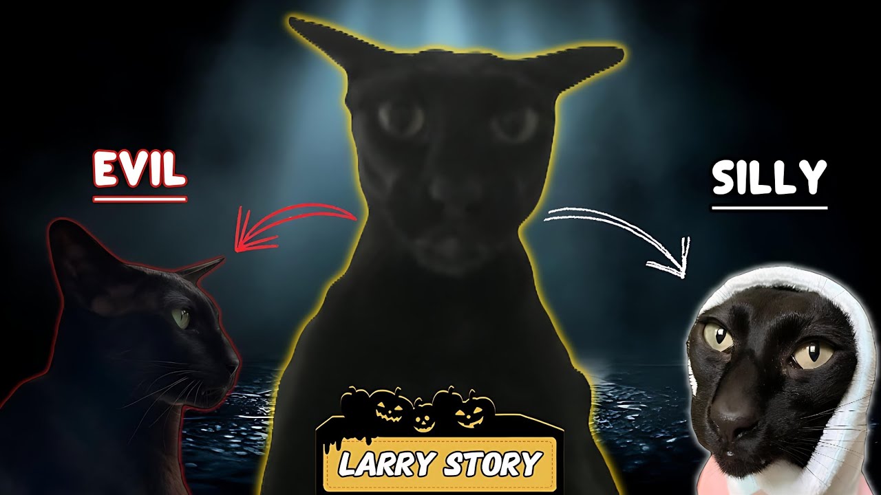 Evil Larry Cat Full Story