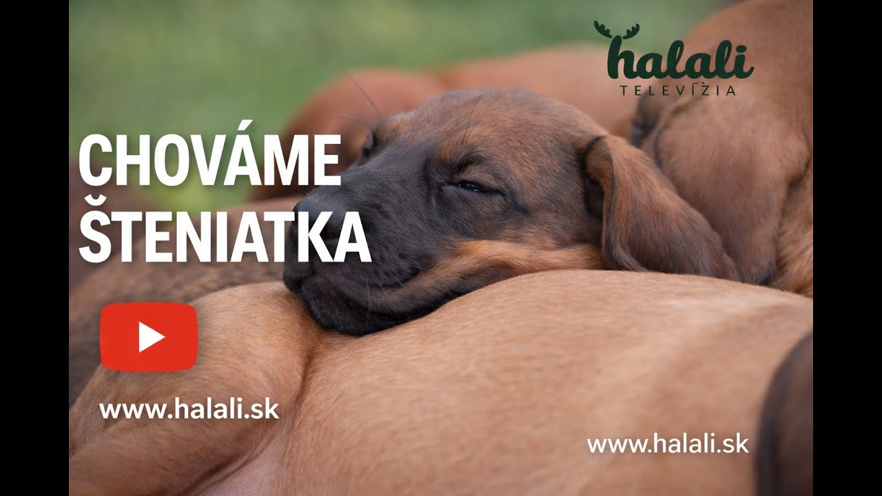 Chováme šteniatka