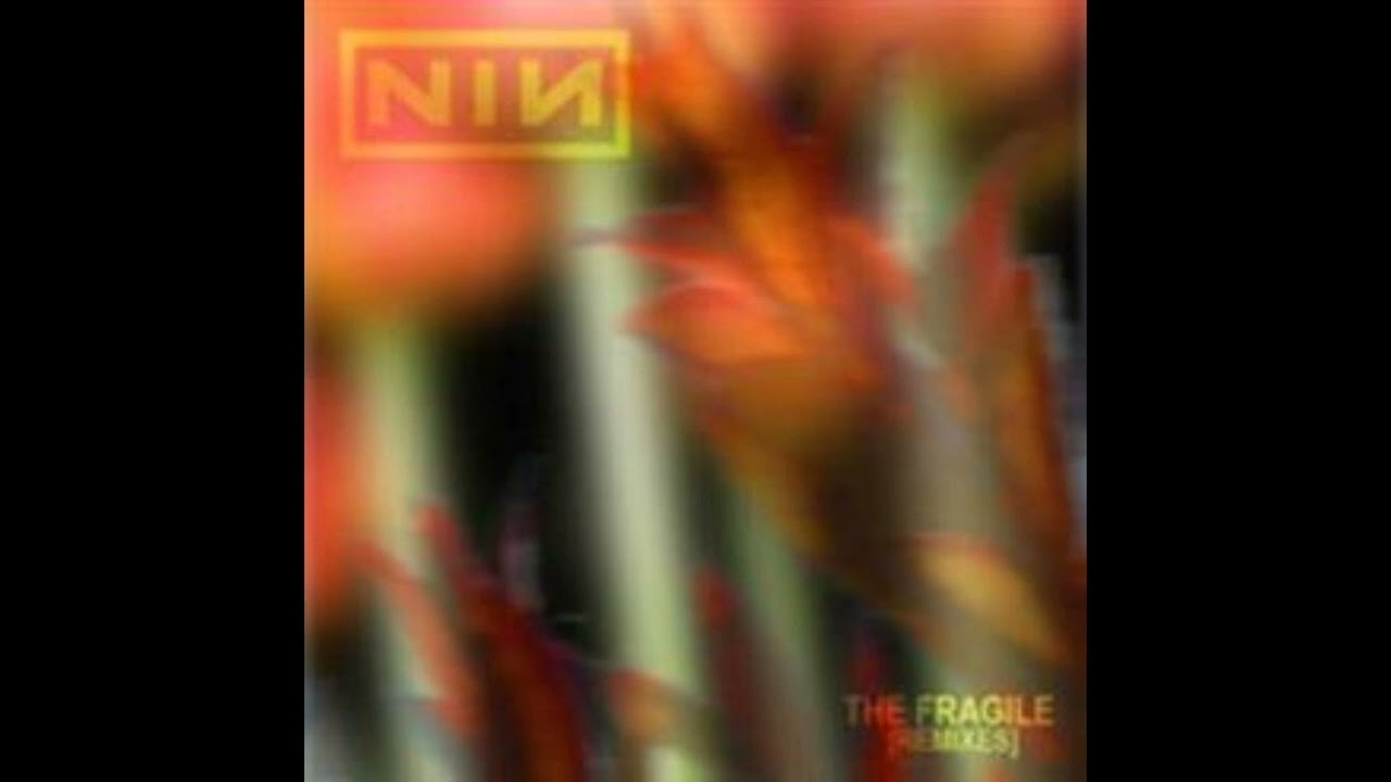 Nine Inch Nails - The Big Come Down (Long)