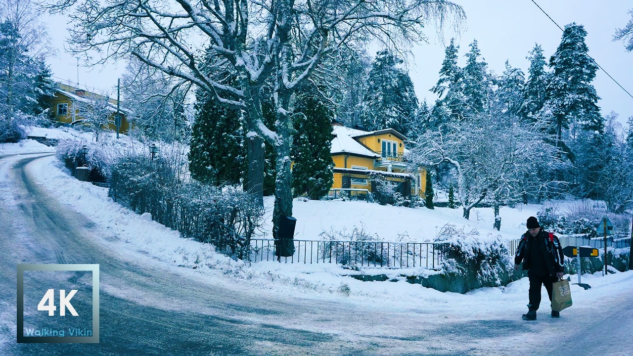 Snowy❄️ Forest Walk in Stockholm 4K HDR Relaxing