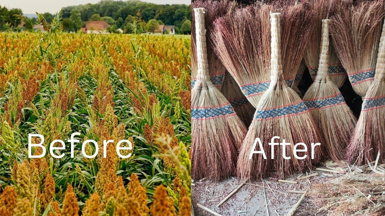 A broom used by Asian countries.#broom #art #Asia #how