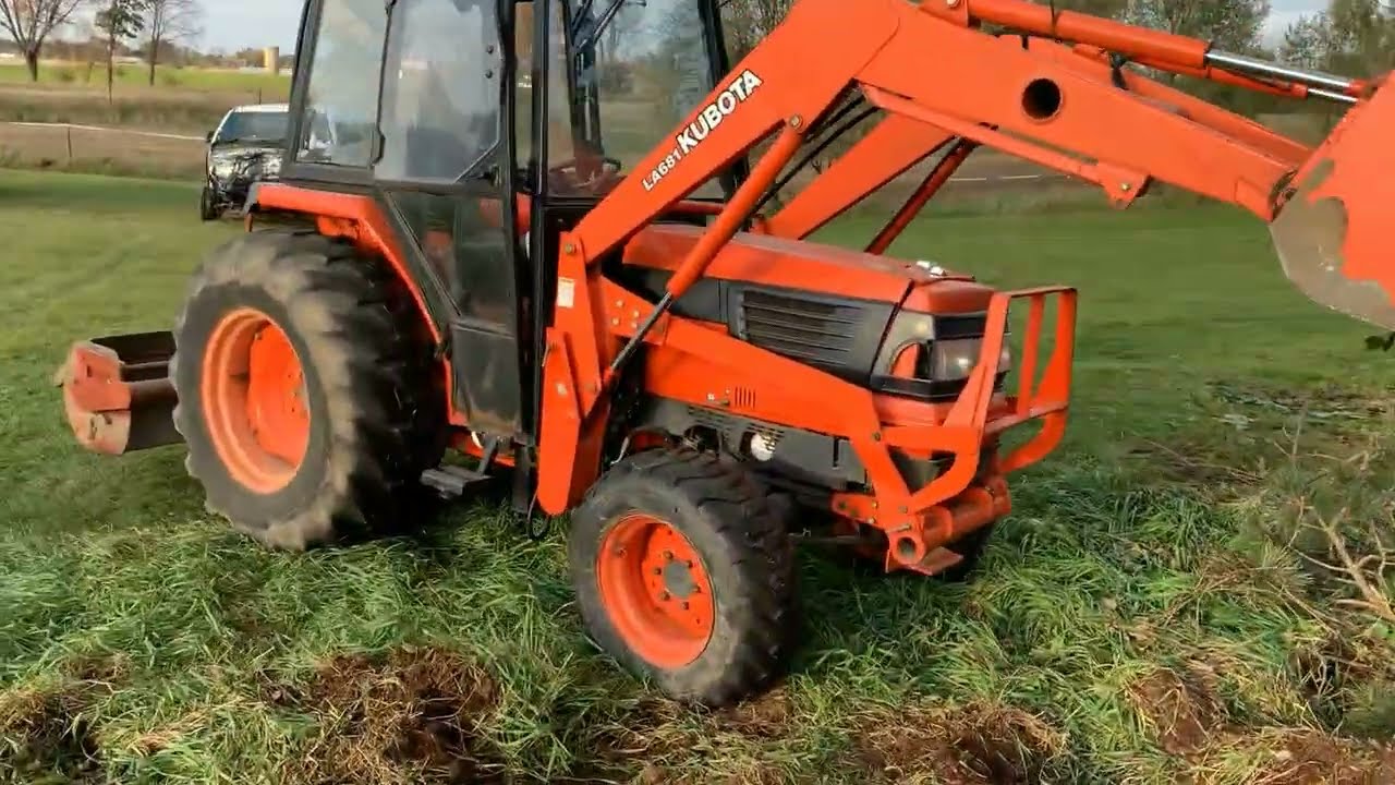 Реновация нового магазина, часть 1. Расчистка деревьев