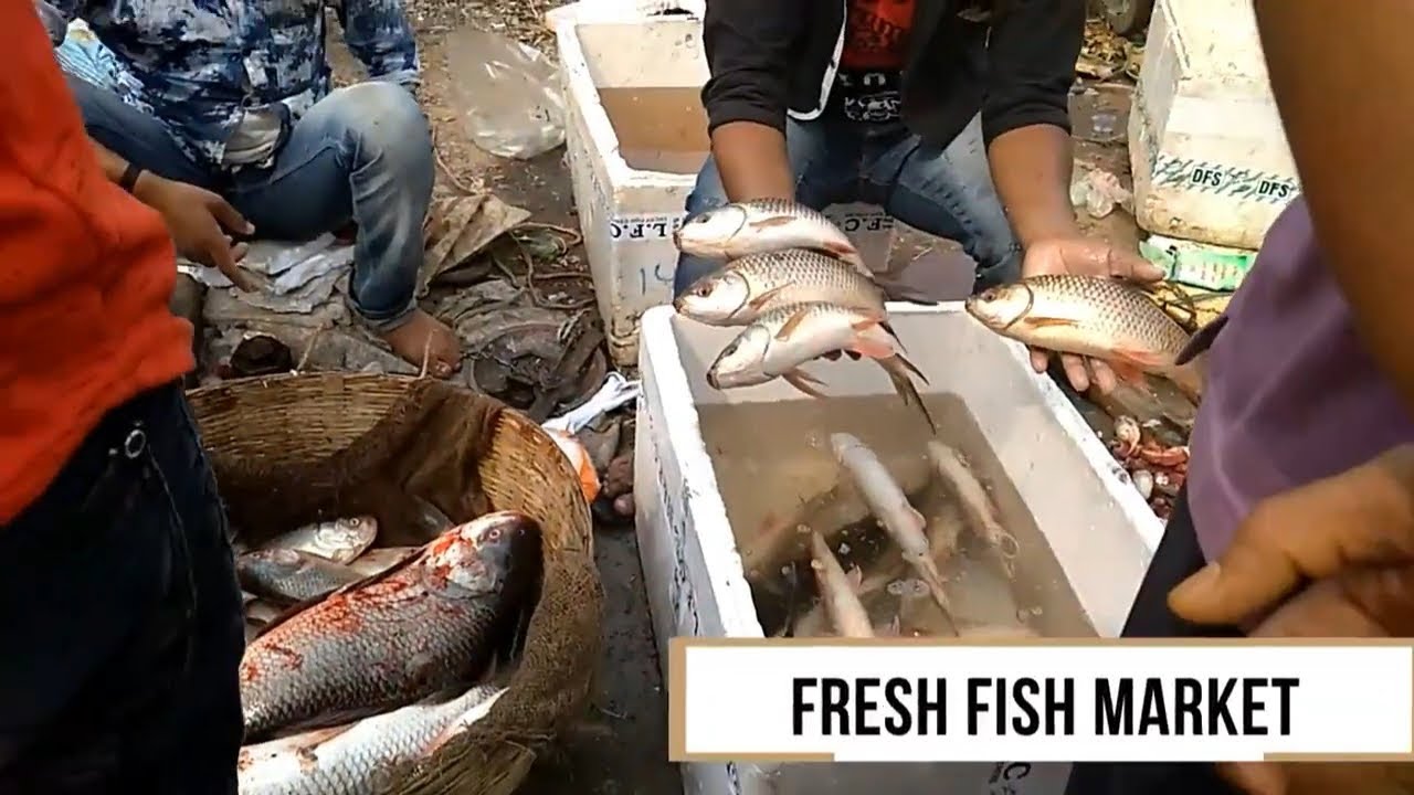 Is Bokaro Sector 5 Hatia the NEW Destination for Fish Lovers? | VLOG
