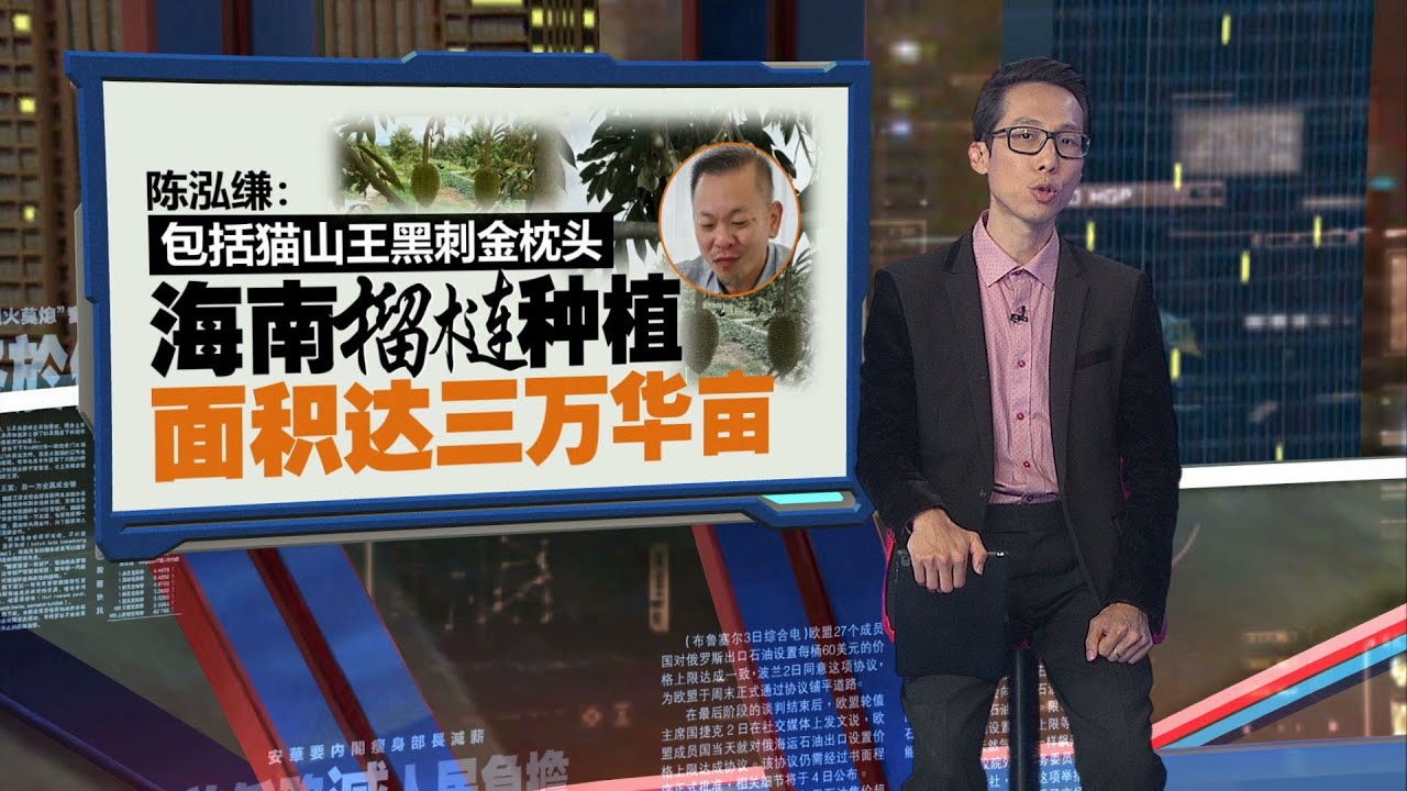品质还未超越大马但不能低估   陈泓缣：海南种榴莲大马须居安思危 | 新闻报报看 13/04/2024