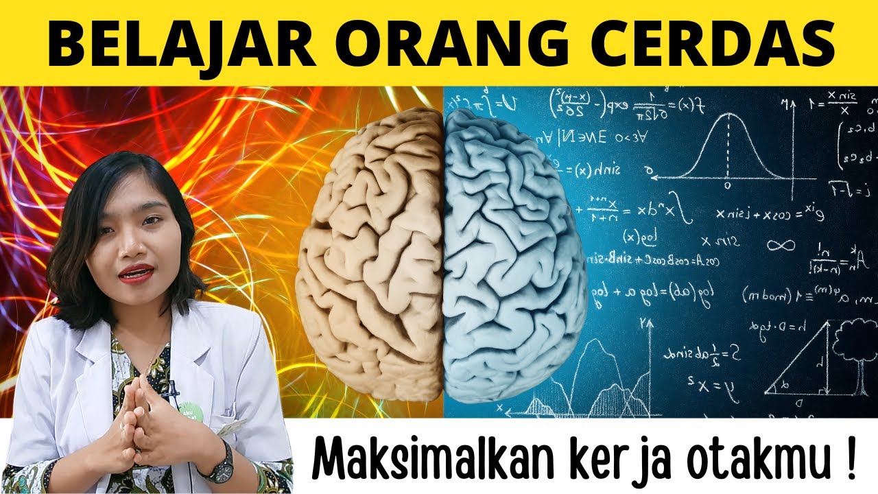 Cara Belajar Anak Cerdas agar Cepat Pintar, Maksimalkan Kerja Otakmu ! | Emasuperr