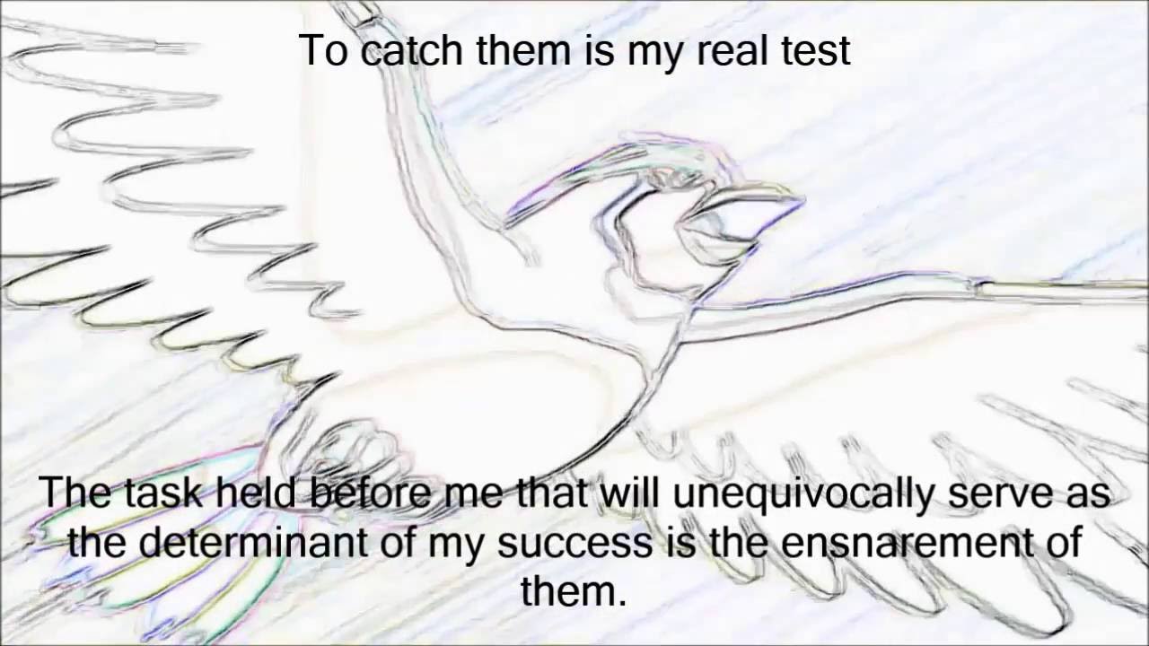 A Verbose Introduction to Your Regularly Scheduled Pokémon Broadcast