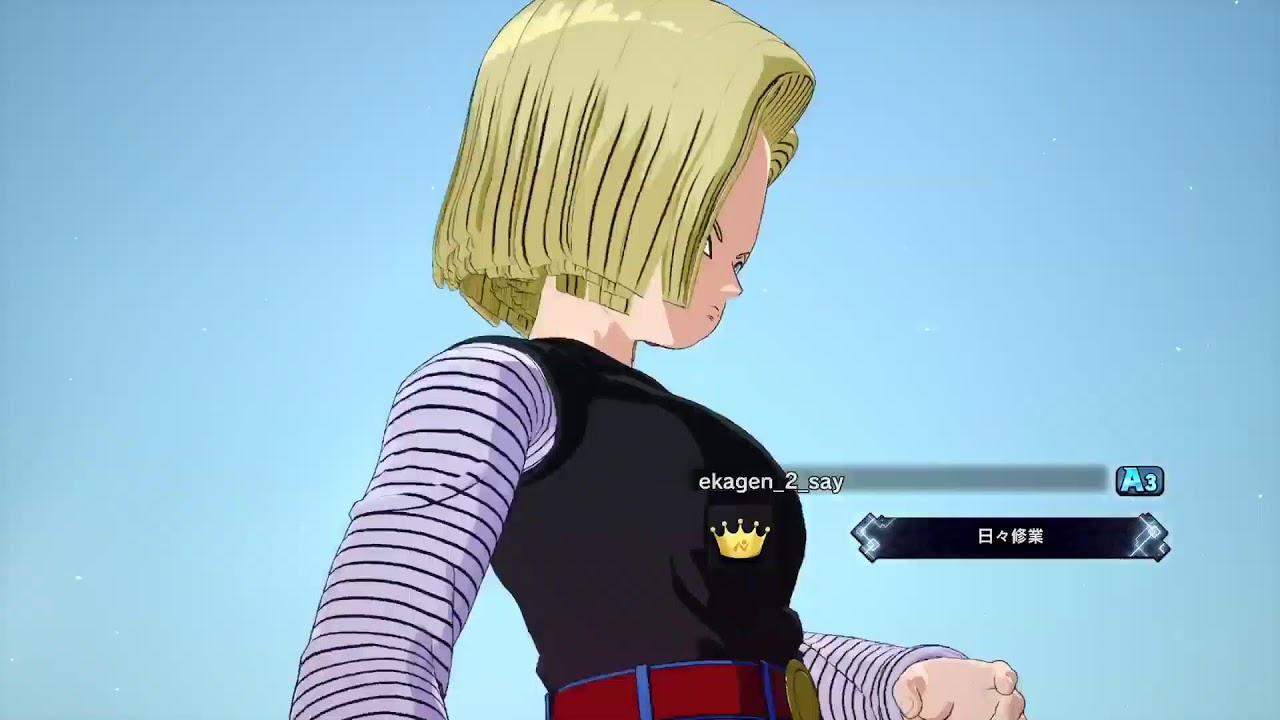 ドラゴンボール　スパーキングゼロ　勝田マラソンを終えて　撃沈しました