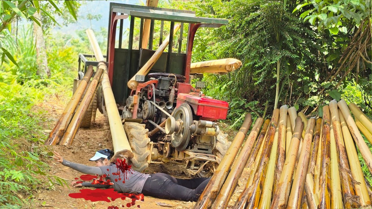 Agricultural truck carrying timber and the unlucky trapped girl#agricultural#truck#timbertruck