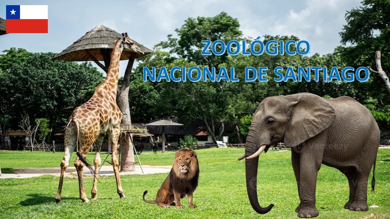 VISITANDO O ZOOLÓGICO NACIONAL DE SANTIAGO/ CERRO SAN CRISTÓBAL - CHILE