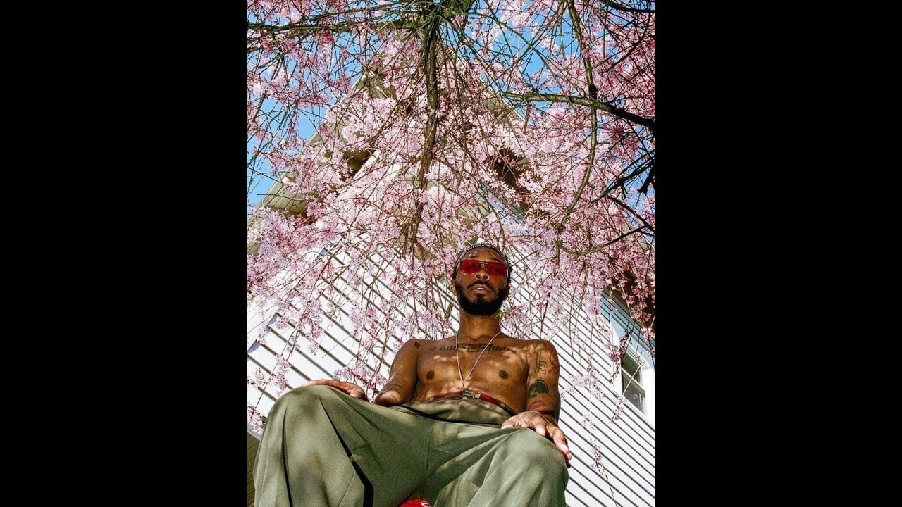 [FREE] JPEGMAFIA TYPE BEAT - 