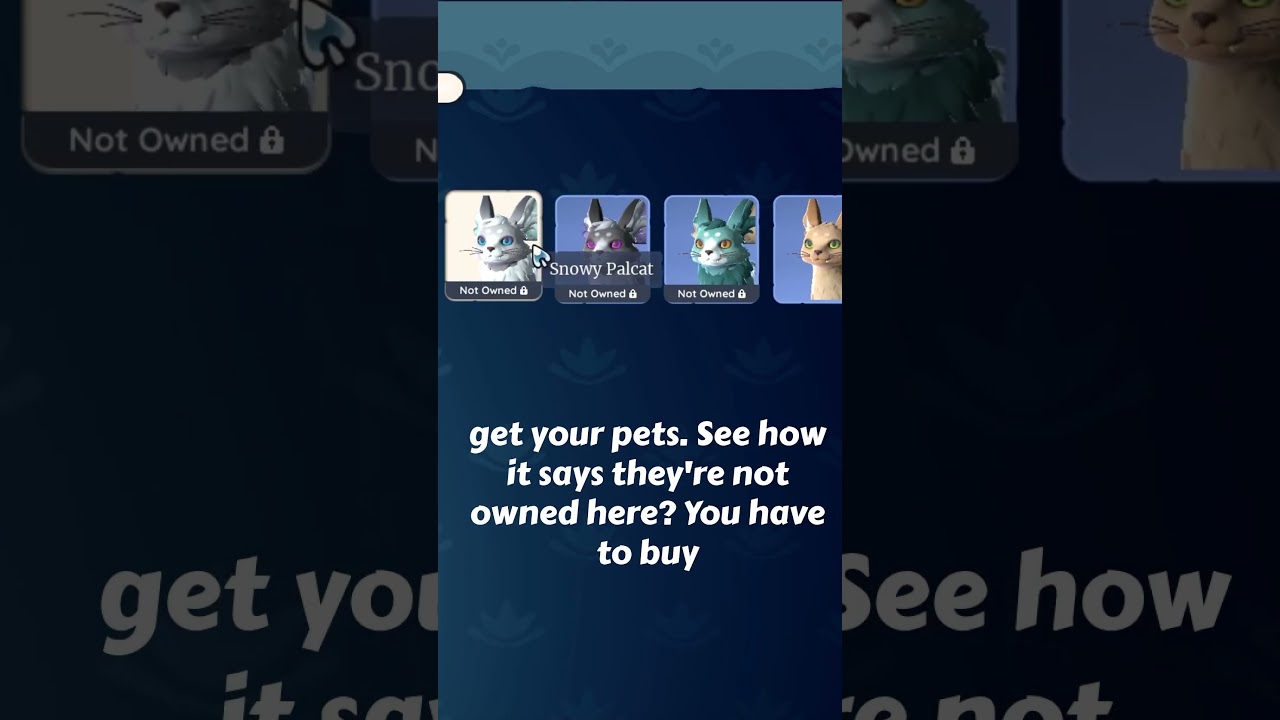 How to get Pets in Palia! 😻 #shorts