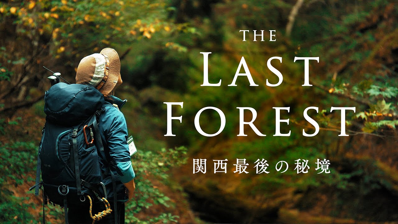 由良川源流 と 芦生の森 │ The Last Forest -  Ashiu village , Kyoto
