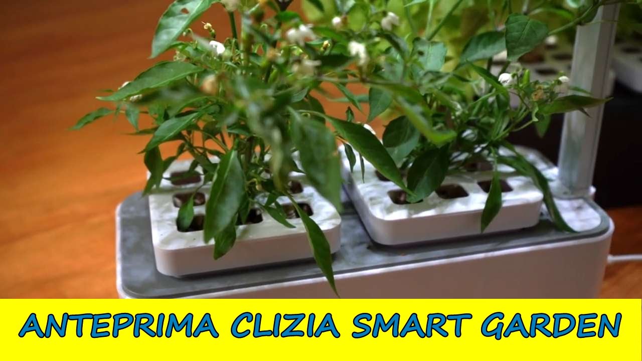 amzWOW CLIZIA SMART GARDEN! Il piccolo orto domestico AUTONOMO per le piante aromatiche. Anteprima!