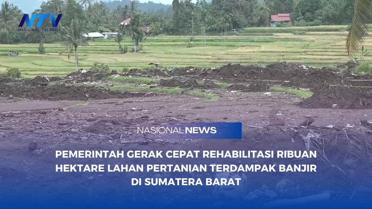 PEMERINTAH GERAK CEPAT REHABILITASI RIBUAN HEKTARE LAHAN TERDAMPAK BANJIR DI SUMATERA BARAT