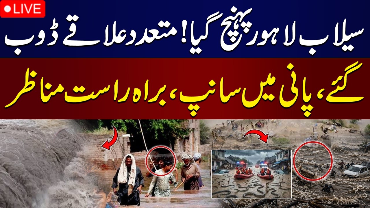 LIVE | Pakistan Monsoon 2026 | Punjab on High Alert | Floods Devastate Ferozewala, Jalalpur Pirwala