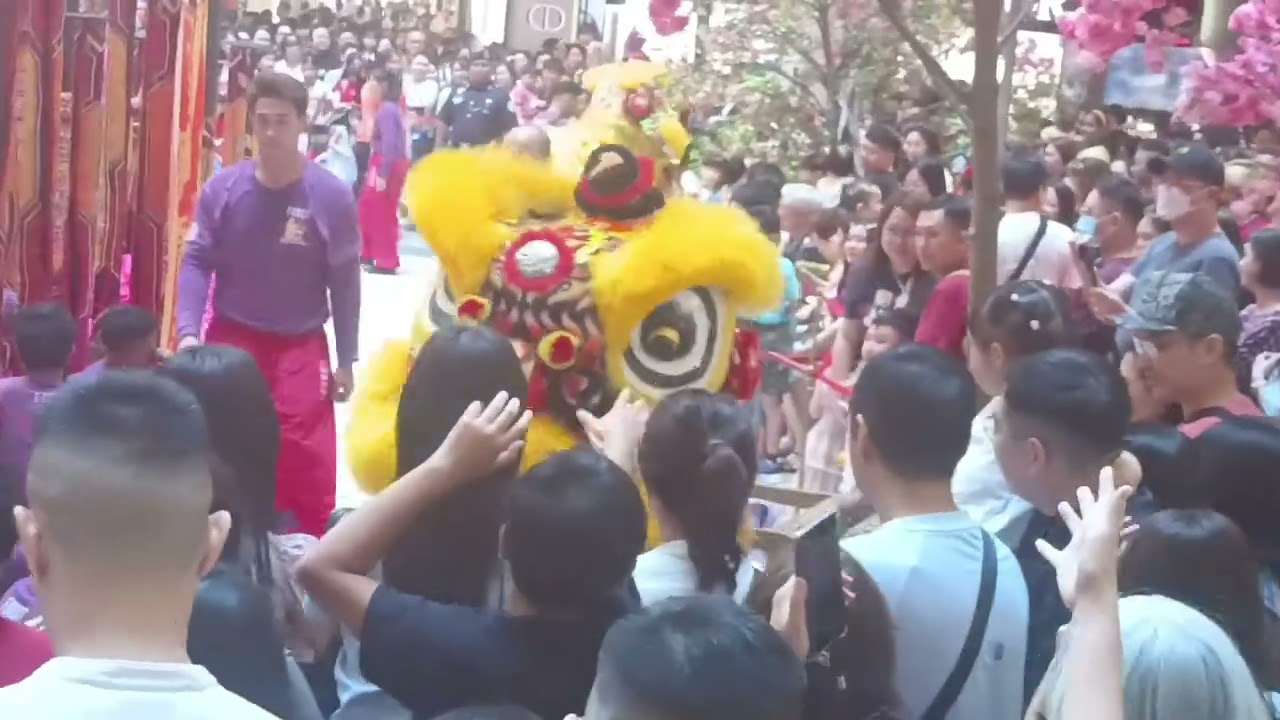 Time for Lion Dance 