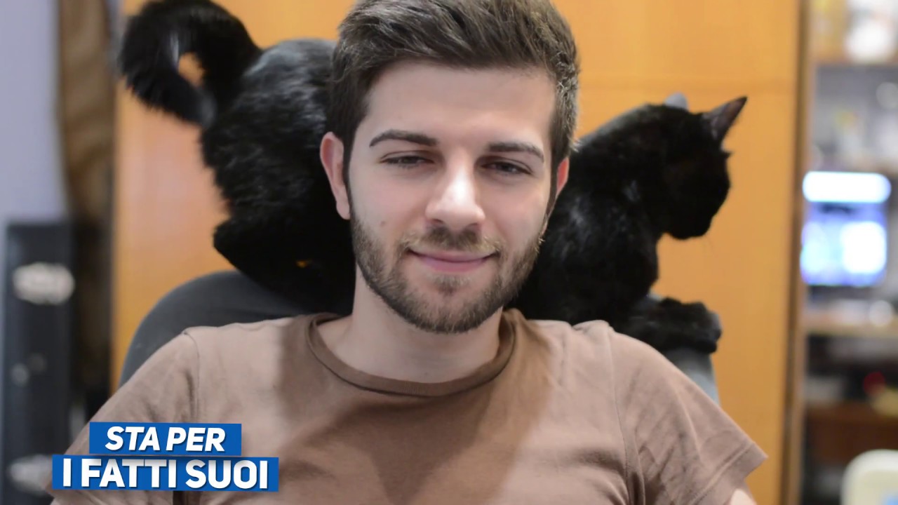 Luoghi comuni sul gatto
