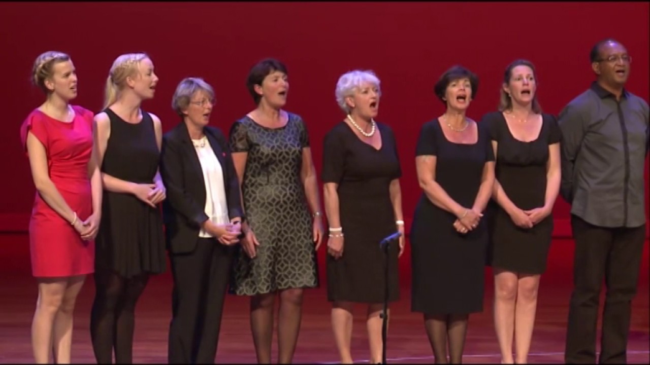 Theatervoorstelling 2016 Sint Nicolaasschool Haren