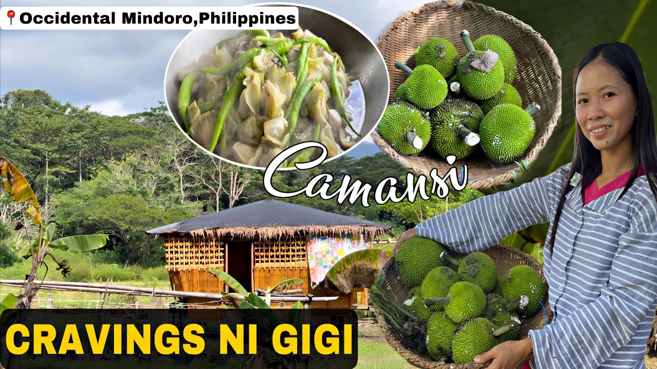 Cravings ni Gigi Ginisang Camansi or Breadnut | Buhay Probinsya | Mindoro