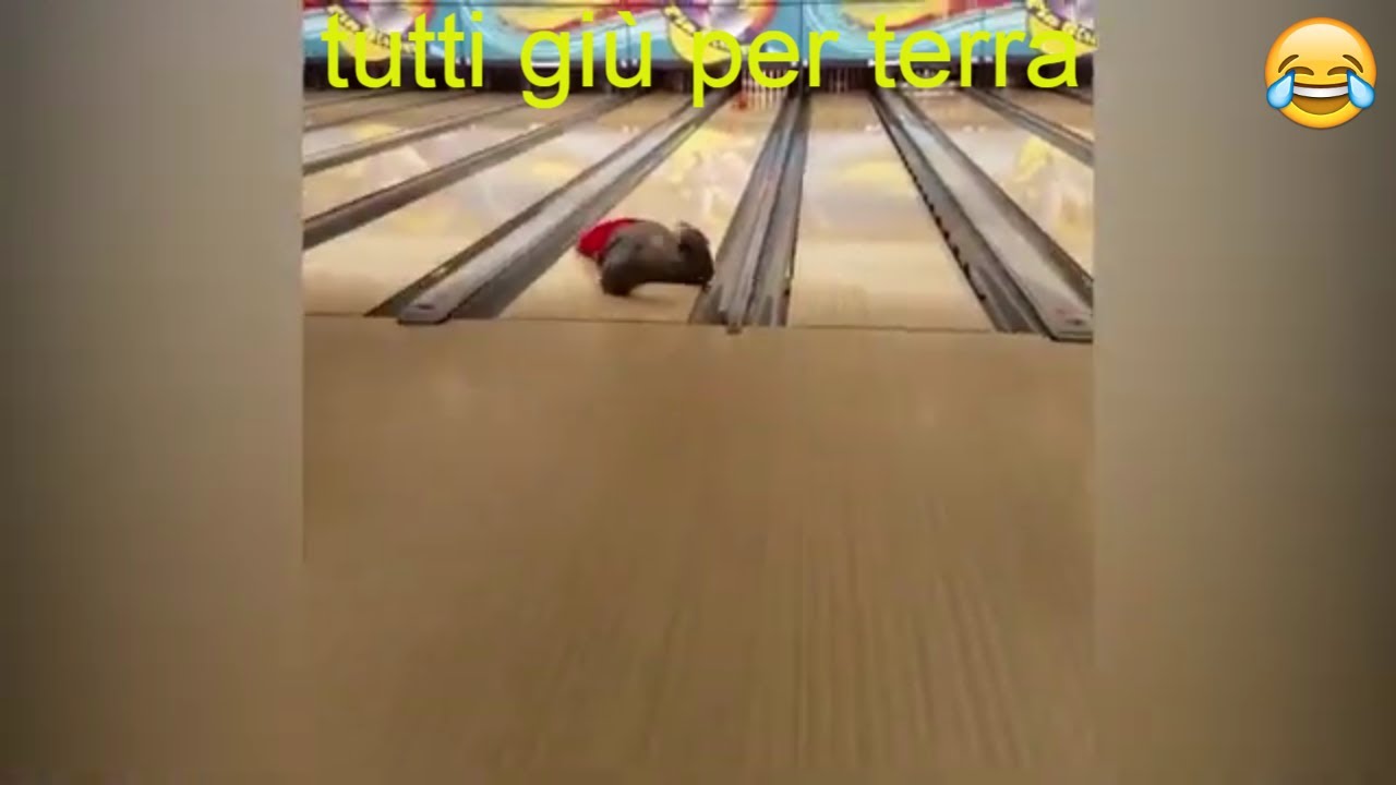 video divertentissimi che fanno morire dal ridere-cadute divertenti,tutti giù per terra 😂