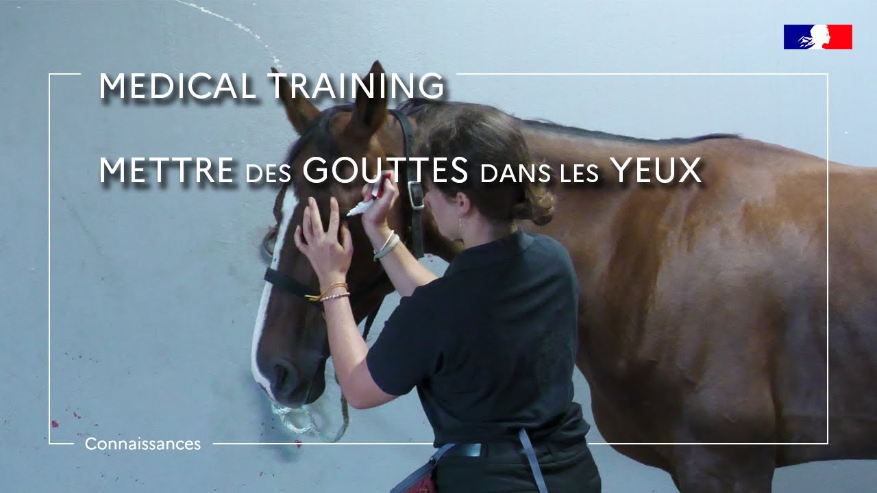 Mettre des gouttes dans les yeux